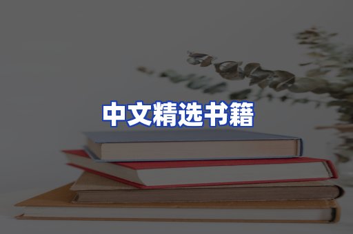 中文精选书籍